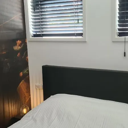 The Flower Fields * Lisse