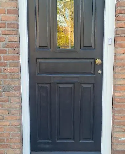 The Flower Fields Lisse