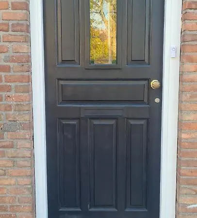 The Flower Fields Lisse